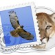 RSS Feeds lezen in het berichtencentrum van OS X Mountain Lion