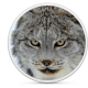 Apple zal OS X 10.9 de naam Lynx meegeven (Mac)