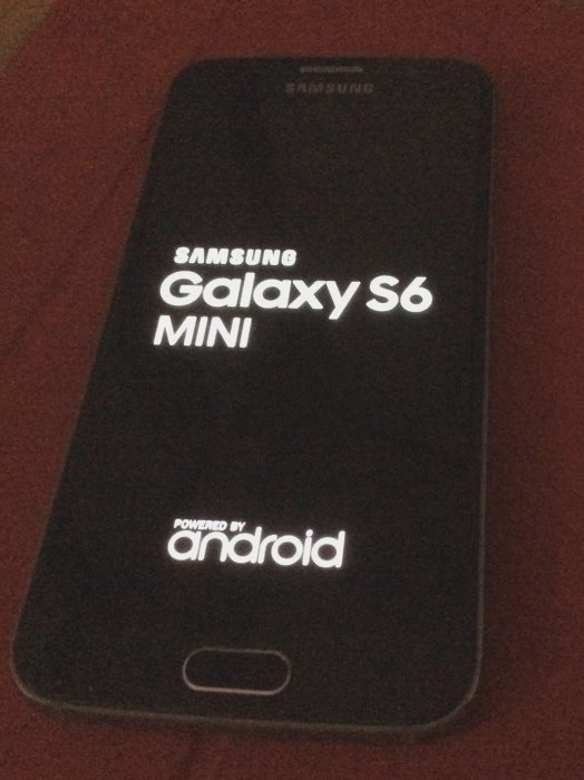Galaxy S6 gespot op