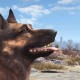 Dogmeat is je beste vriend in Fallout 4