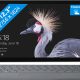 Microsoft Surface Pro (2017) met Type Cover voor 859 euro